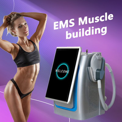 150HZ ফ্রিকোয়েন্সি EMS স্লিমিং মেশিন পেশাদার জন্য উন্নত পেশী টোনিং / ফ্যাট বার্ন
