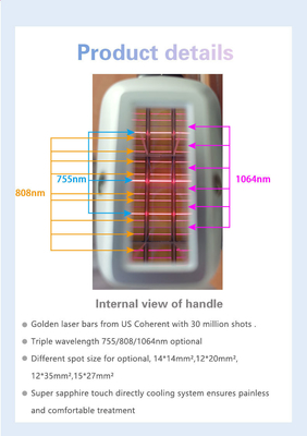 808nm-810nm মাল্টিফাংশনাল বিউটি মেশিন স্টেশনারি স্টাইল ROHS TGA অনুমোদিত